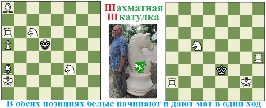Ладья! Королева квадратных полей!