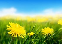 Какая странная погода