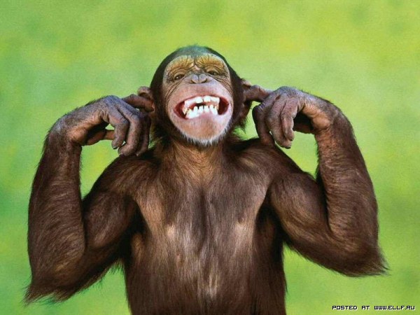 Крокодиловы слёзы. часть 4