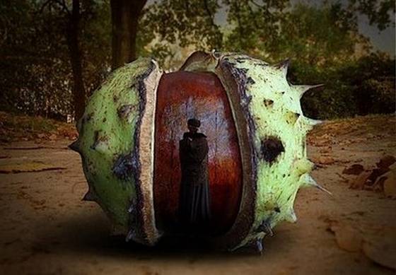 Год на убыль пошёл...