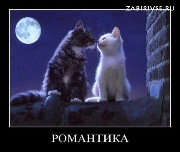 Соло под луной