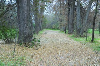 Умение ждать