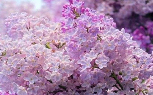 Смена сезонов