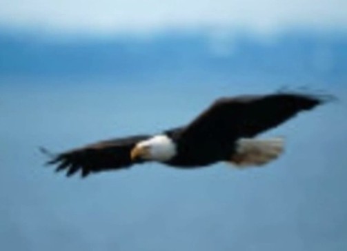 Ты только загляни в простор