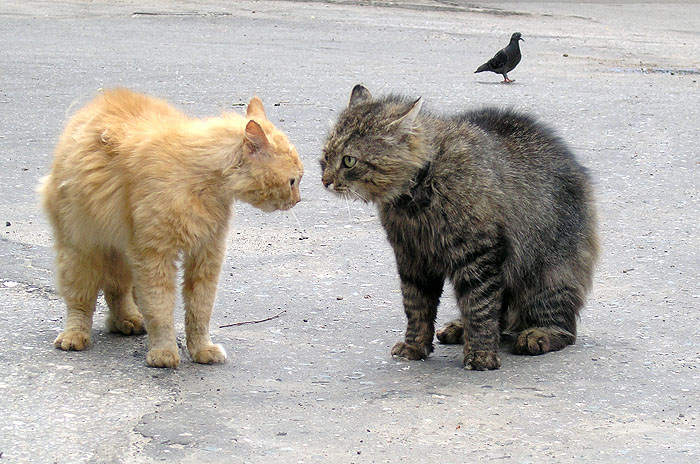 Секундочку сейчас лайк поставлю картинки