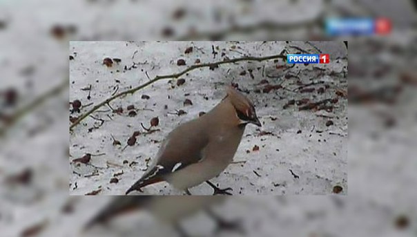 Задумайтесь...