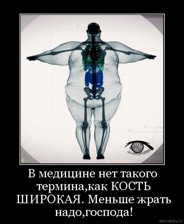 Шоб вы так жили