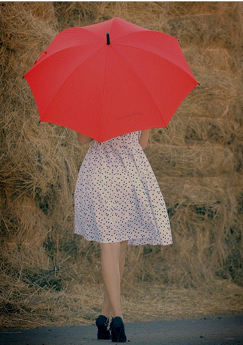 Девушка с зонтом. Девушка в платье с зонтиком. Фотосессия с зонтом. Автор зонтики