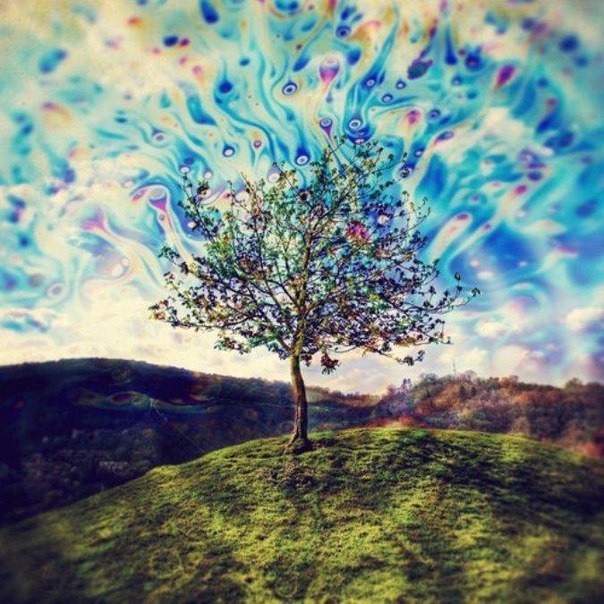 Откровение