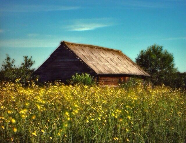 изба полю. избушка в поле. изба в поле. домик в деревне в поле. изба полю.
