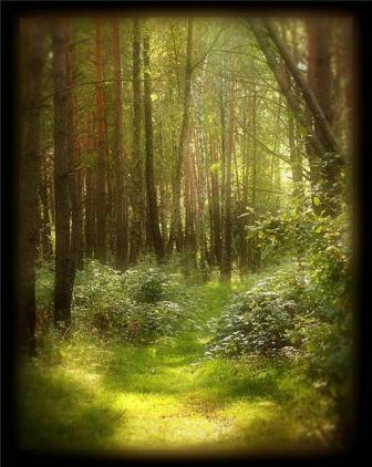 Рождение цветка