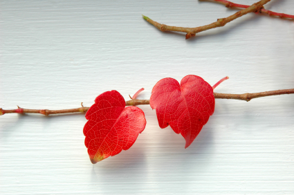 Pассыпались слова