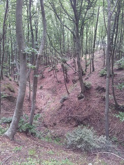 Глубоко в душе