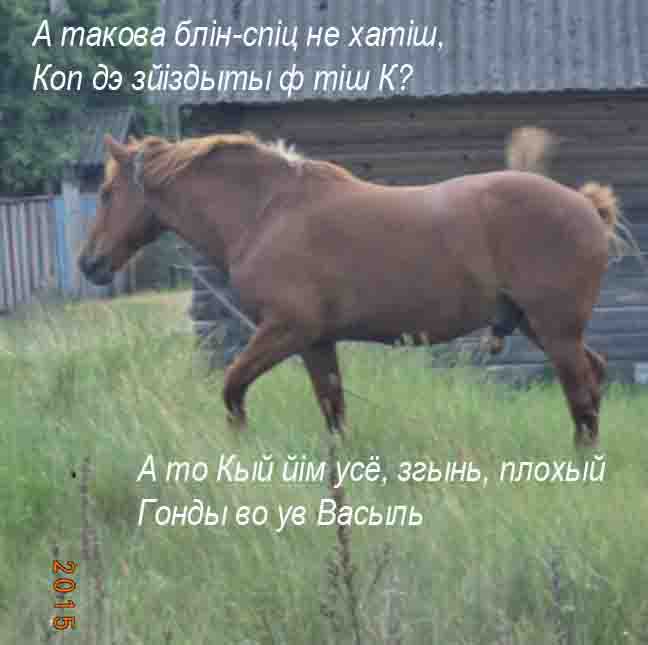 Колы ты дошок наризавсь,