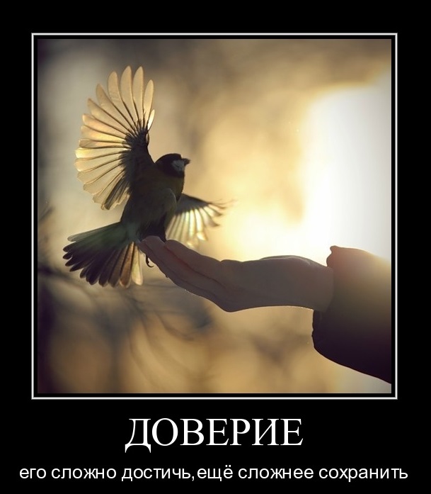 О доверии...