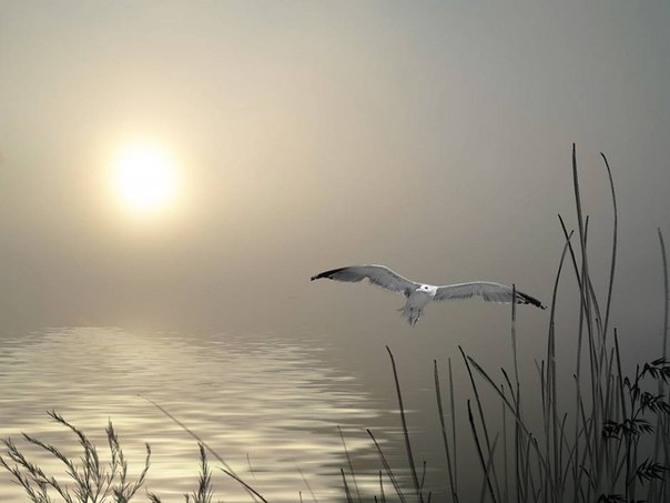 Грань одиночества разрушить не могу