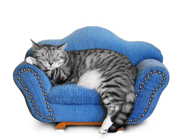 Ода бездельникам