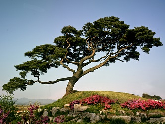 Понимаем природную красоту только мы
