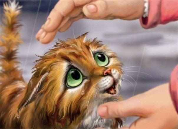 Ты что, котяра, заскучал?