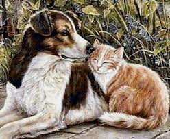 Собрала я однажды