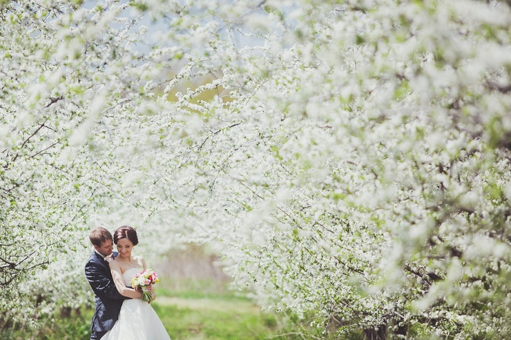 Лепестки желаний