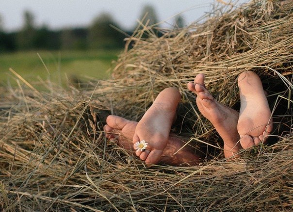 Незабываемая ночь