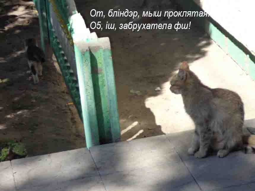 Сибир запахла ажн!