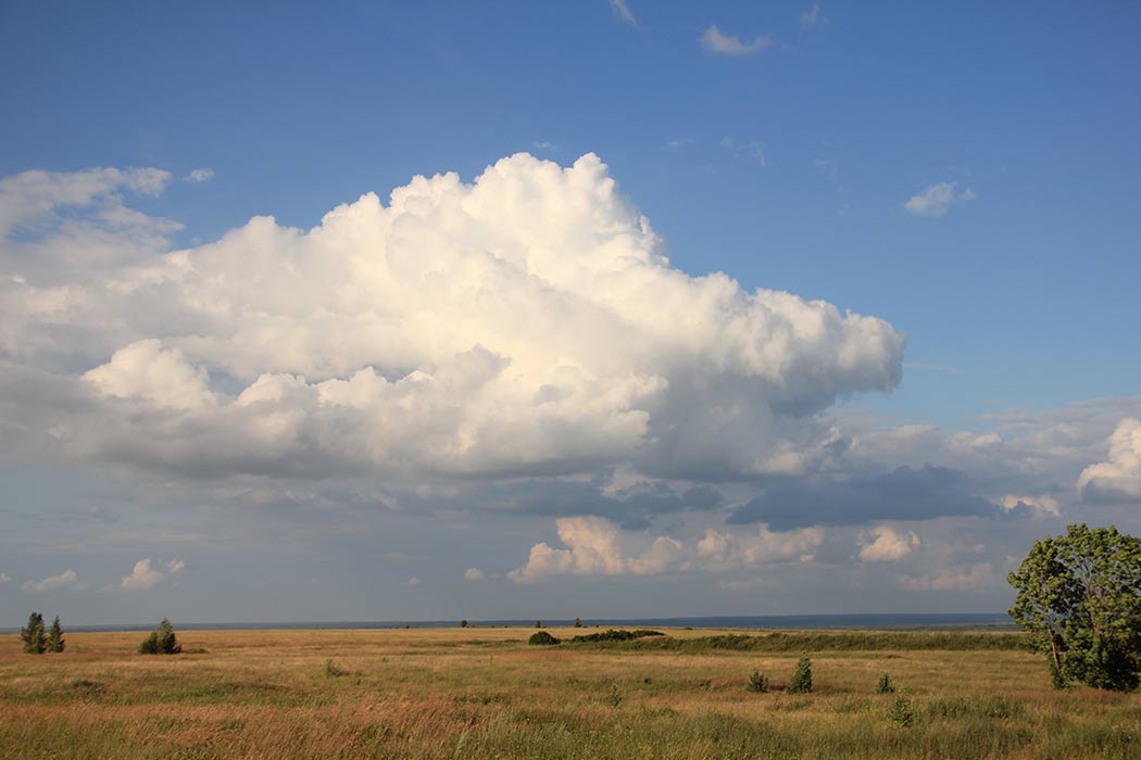 Август