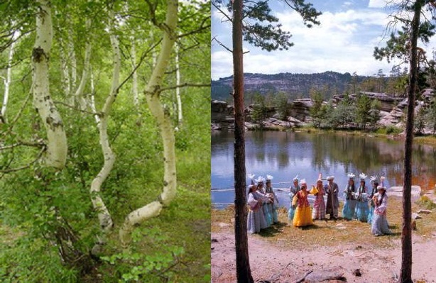 Боровое казахстан танцующие березы