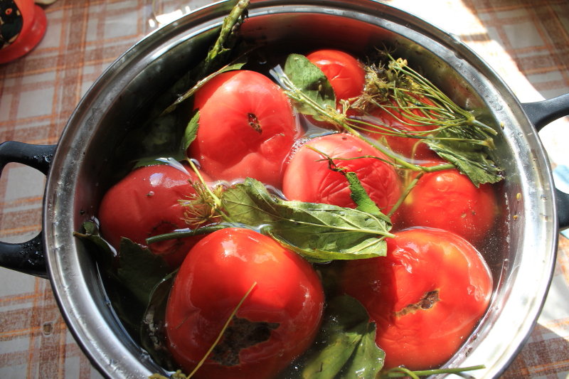 Не про помидоры