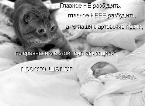 Наконец-то замолчал...