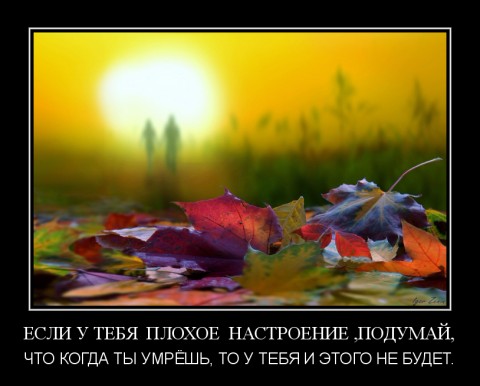 Жизнь тебя сама позовет...