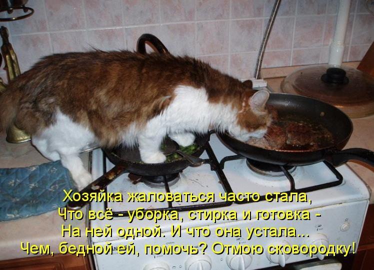 Блудливый кот...