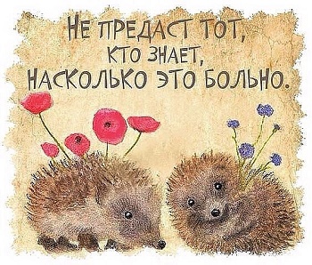 Не предам я тебя, не предам