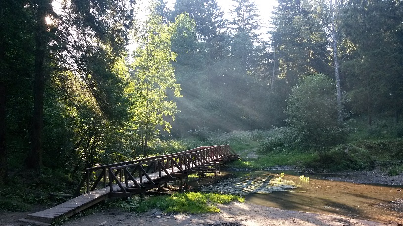 Я в речку бросил мелочь, чтоб вернуться