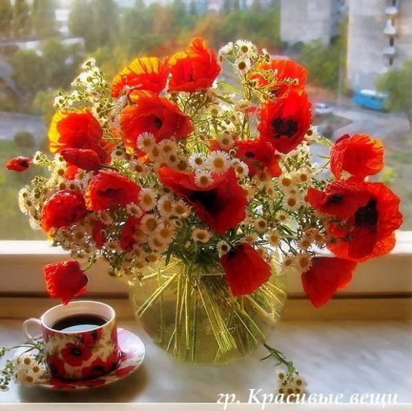 Шествие маков