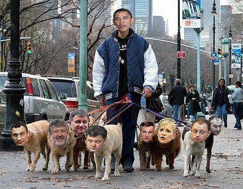 Ох! Уж этот поводырь!