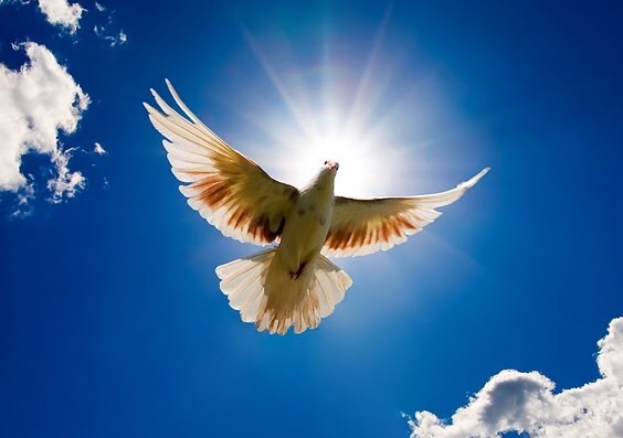 Пусть память хранит