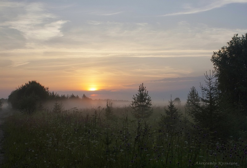 Боже, когда будет мир и любовь на планете?