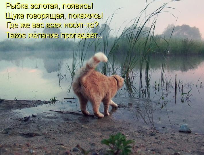 В болото превратился чистый пруд...