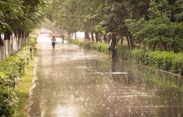 дождь и лето