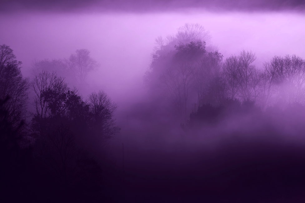 Отец федора выбравшийся из фиолетового тумана. Фиолетовый туман. Сиреневый туман. Фиолетовая природа. Туманный пейзаж.