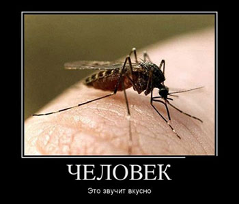 Человек это звучит вкусно