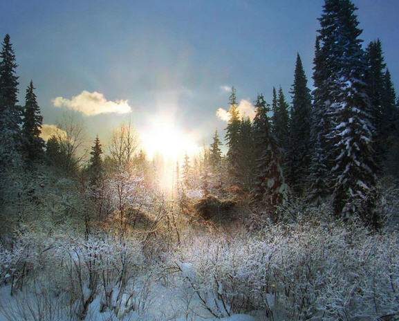 Письма издалека