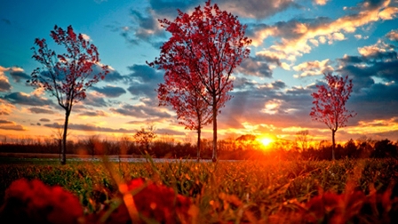 Счастье вдыхать...