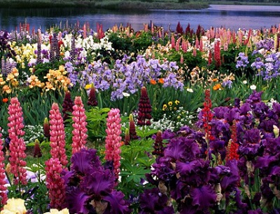 Зыбки-волны