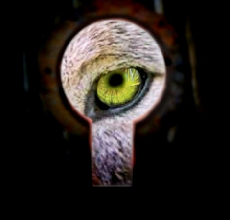 Запертая дверь