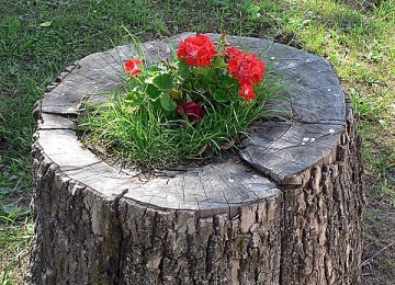 Грустный парадокс рецензия