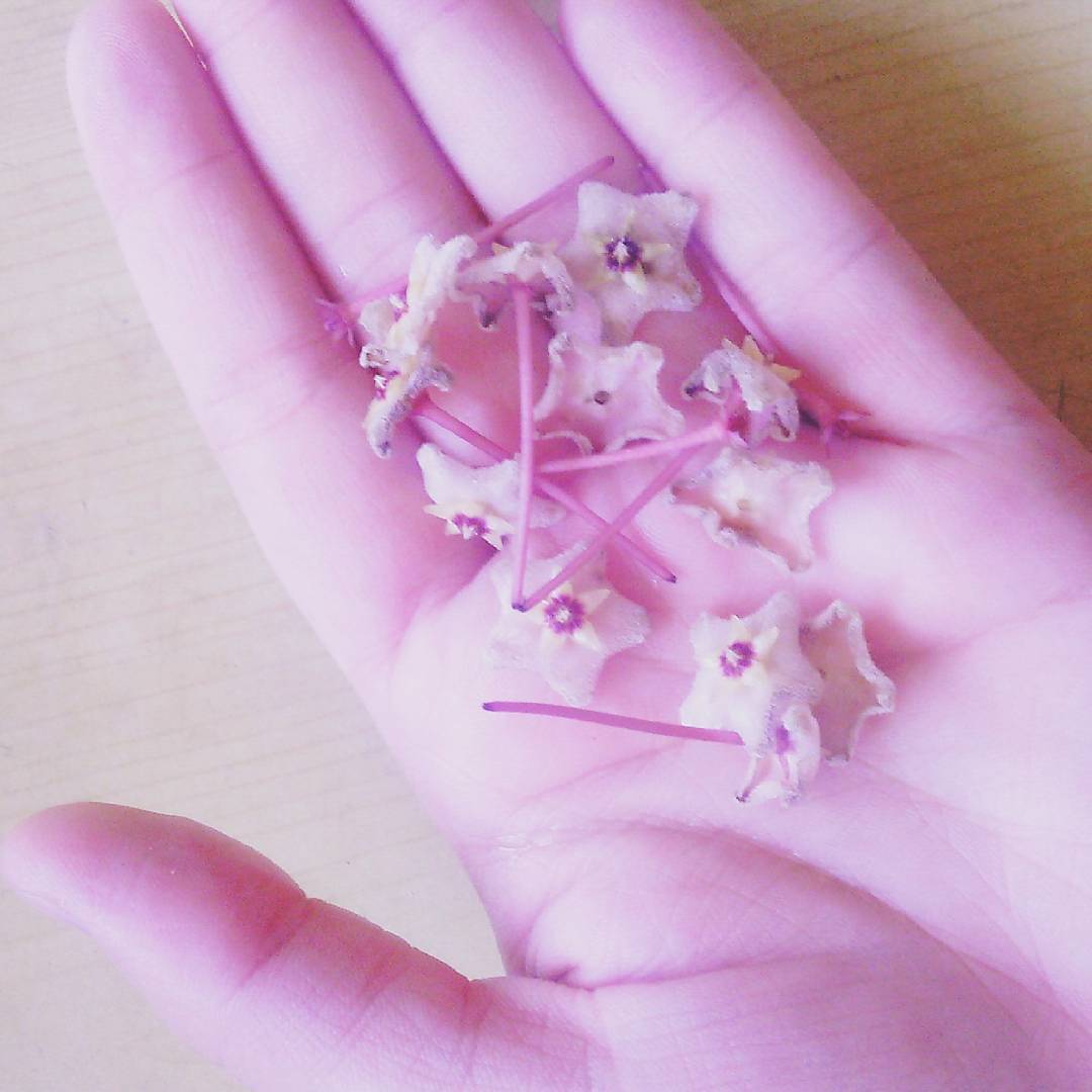 Как будто звёзды на твоих ладонях