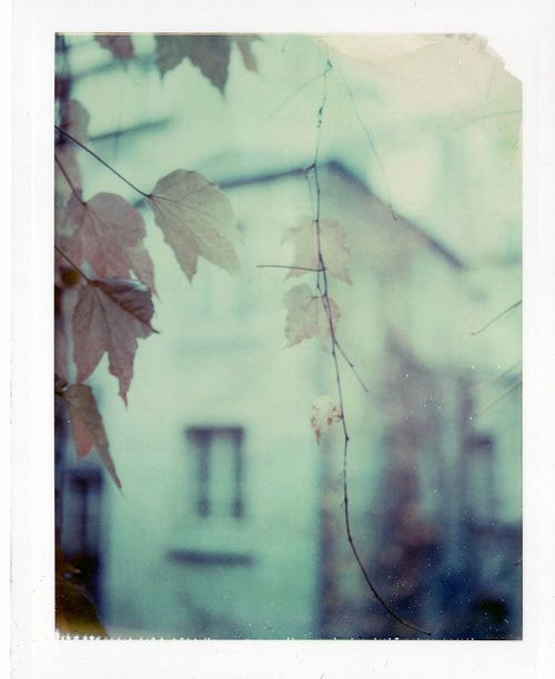 Чтобы успеть в тот день...